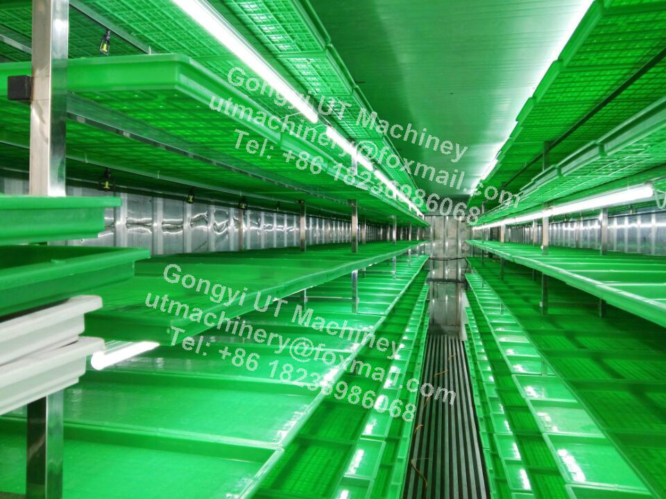 Compact Container Type Hydroponic Barley Fodder Growing Room for Optimal Sprout Box Size