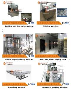 Quality 1000kg/H Apple Pear Dried Fruit Production Line Peeled Core Machine wholesale