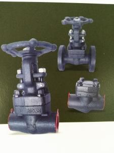 Quality Small Size Forged Steel Valve Design and Manufacturing Standard API602 wholesale