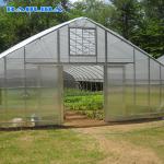 Agricultural Singlespan Tunnel Plastic Film Tropical Greenhouse