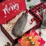 Christmas gift box Printing Rigid Folding Paper Packaging Magnet Closure Lid