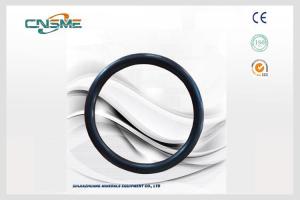Quality High Pressure Slurry Pump Parts Black Sealing Ring D122 For Acidic Slurry wholesale