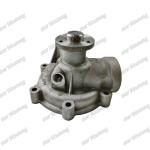 ENGINE Water Pump D4D