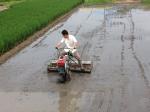 Rice seed planter