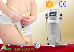 Quality bottom price vertical cryolipolysis far freeze slimming machine /best effective cavitacion rf wholesale