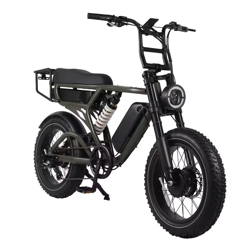 Disc Brake and Dual Battery Mid Drive Electric City Bike for Adult Classic Ebike