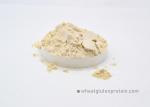 Natural Protein Enhancer for Feedstuffs of Aquaculture Dried Wheat Gluten