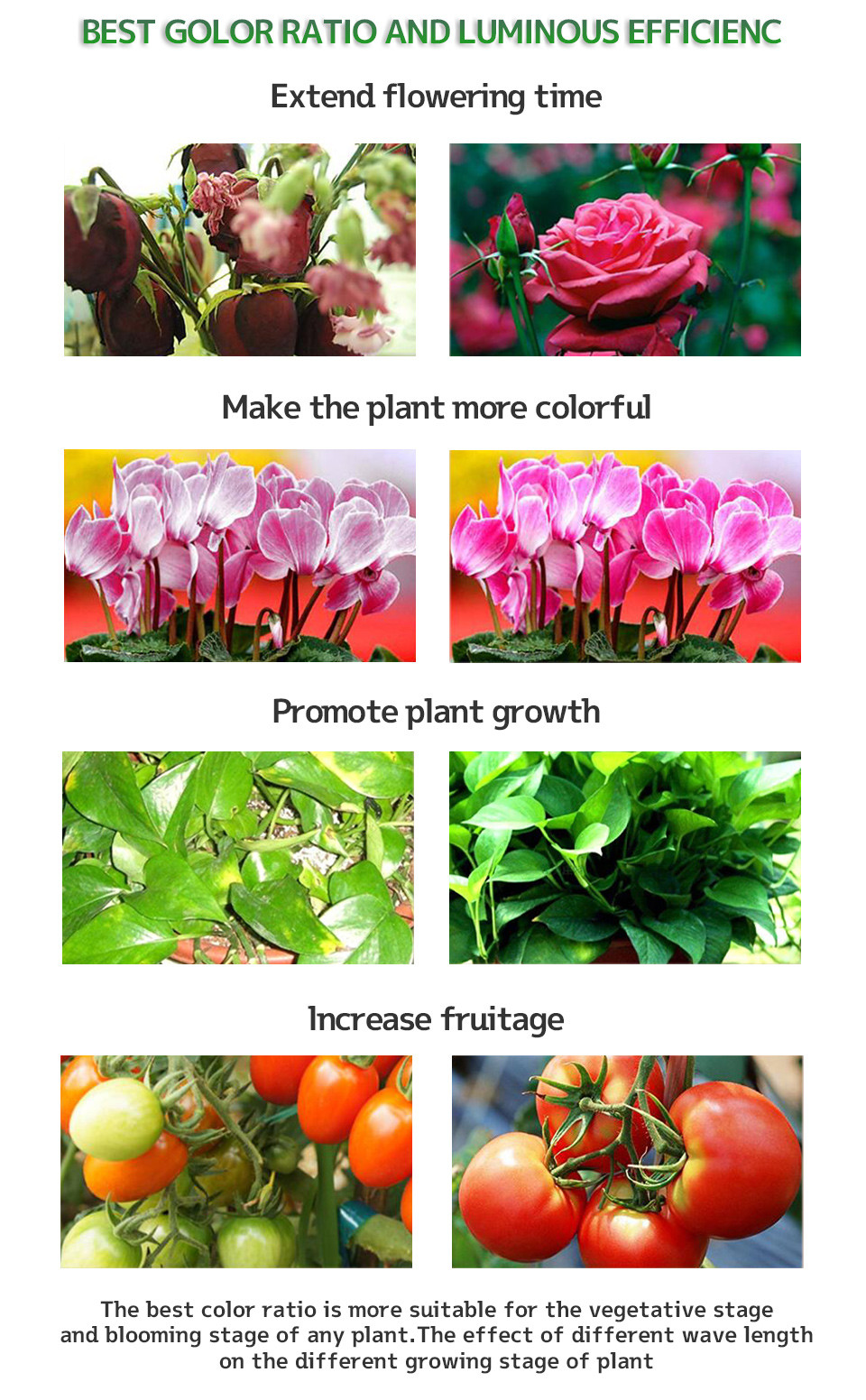 LED Grow Light Full Spectrum Samsung LM281B 65W Grow Lights for Plants Flowers Hydroponic Indoor Grow Tent Phyto Lamp