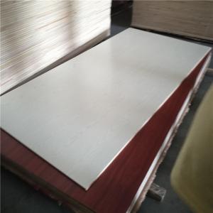 Quality Laminated Melamine Paper Faced 18mm Melamine Faced Plywood wholesale