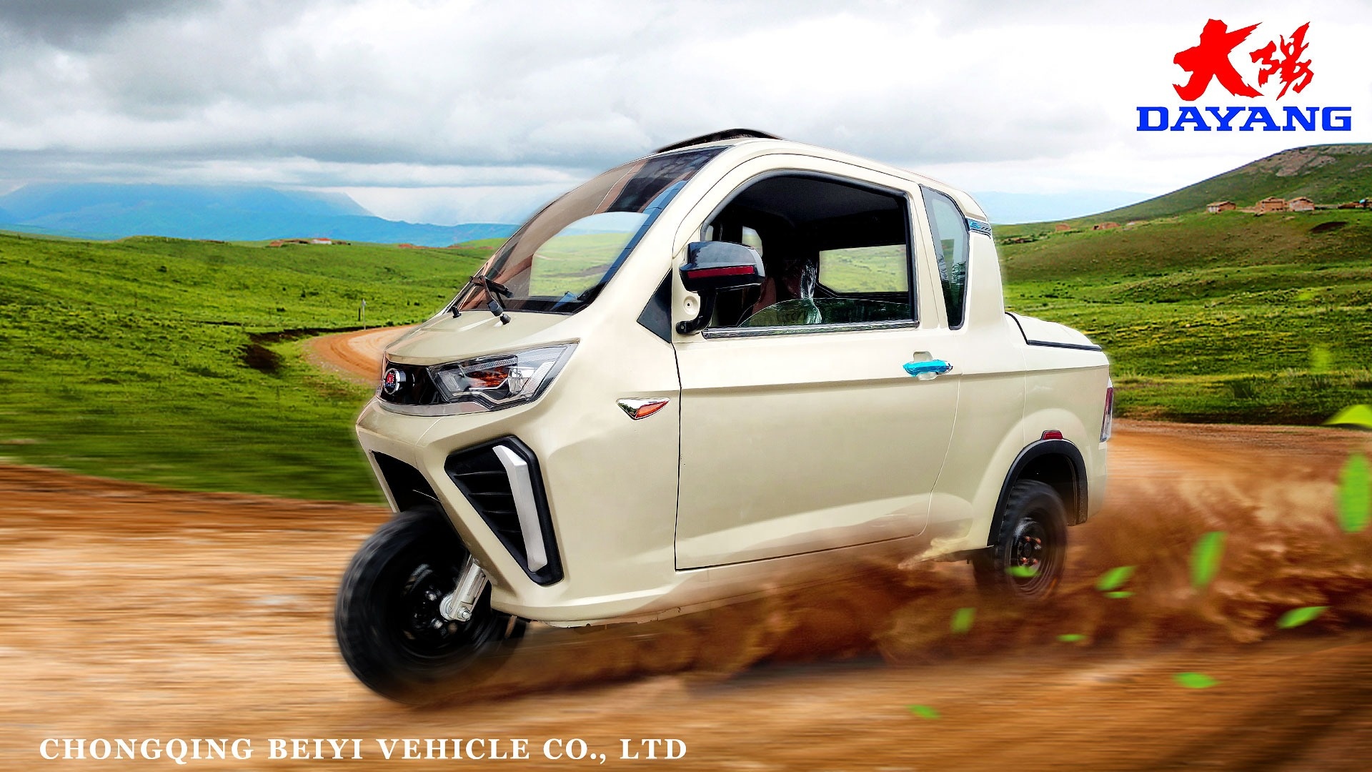 3 Wheels Gas/Petrol Fuel Adult 250CC Cargo Tricycle Open Body Type with Displacement 250cc