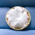 Low Melt Polyester Staple Fiber for Sofa Cushion Filling