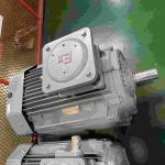 Carbon Steel Material Single Phase Explosion Proof Electric Motors