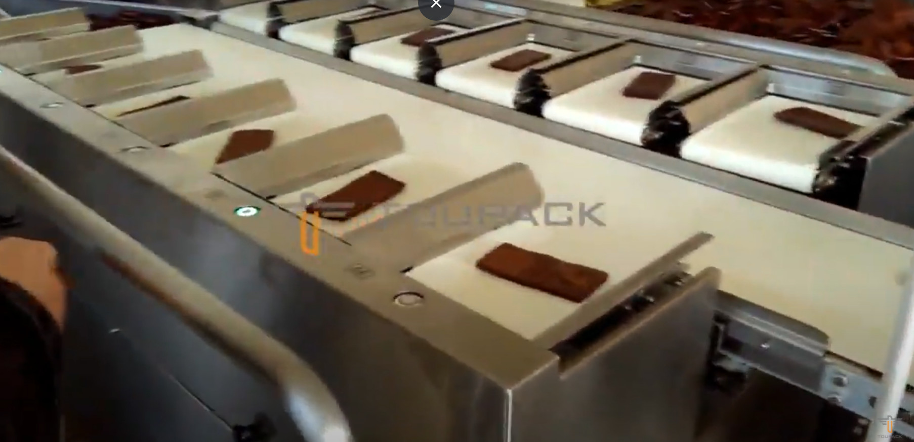 30WPM Vegetables Combination weigh Belt Scale PLC Control High Accuracy Grader