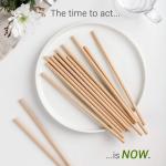 Tableware Kraft Paper Bio Compostable Cocktail Straws
