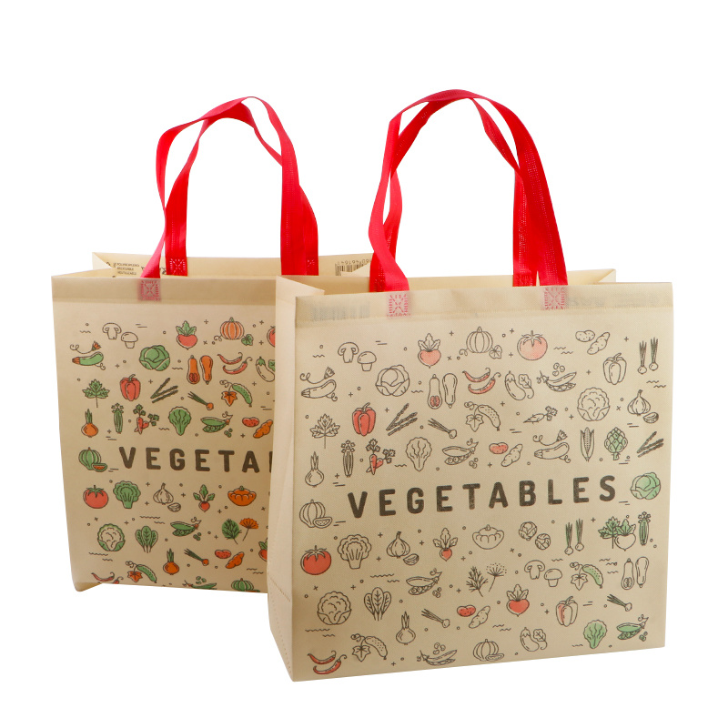 Non Woven Shopping PLA Gift Bag