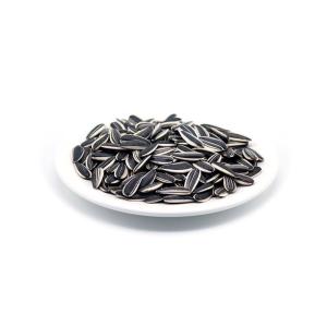 Quality Sunflower Seeds T5 The Secret Ingredient for Delicious Snacks wholesale