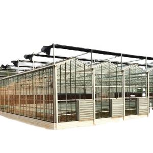 Quality 3.8m-9.8m Ridge Height Glass Solar Greenhouse for Customer Requirements wholesale