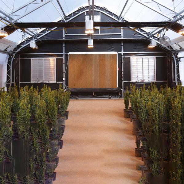 Light Deprivation Plastic Agriculture Blackout Single Span Greenhouse For