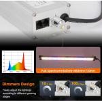 Hlg Quantum Board LED Grow Lights LED Grow Light Quantum Board 200w LED Grow