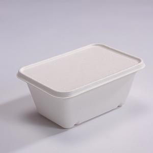 Quality 1000ml Sugarcane Bagasse Box Food Box With Lid Disposable Compostable wholesale
