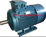 Y3 Super High Efficiency Electric Motor and Water Pump Motor, 3 ph AC Induction
