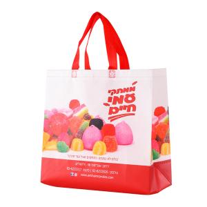 Quality 120GSM Laminated Non Woven Bag wholesale