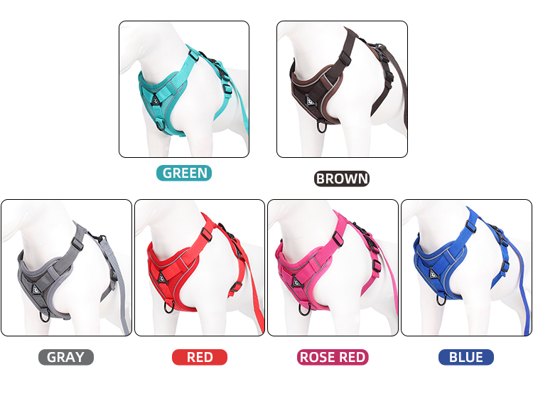 Adjustable Breathable Dog Vest Safety 1.5m Traction Leash No Pull Dog Harness Set Personalized for Safe and Stylish Walks