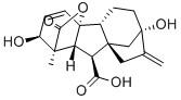 Quality Gibberellic acid 77-06-5 wholesale