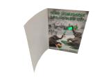 LED Flash Music Greeting Card , ODM Birthday Musical Card With 30s 60s Music