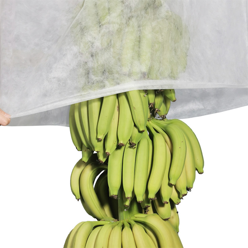 17gram 72cm 200 Meter Agriculture Non Woven Cover PP Banana Bags