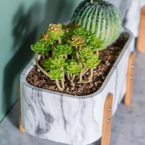 Quality Succulents Plant Pots Mini Flower Pots Tabletop Flower Pots Marbled Texture Pot Planters with Bamboo Foot Cement Pots wholesale