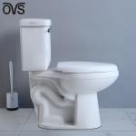 Tall Ada 2 Piece Toilet Dual Flush Toilet Elongated Bowl Two Piece Closet