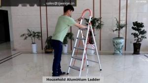 Quality Collapsible 5 Step 1.65m Stainless Steel Ladder wholesale