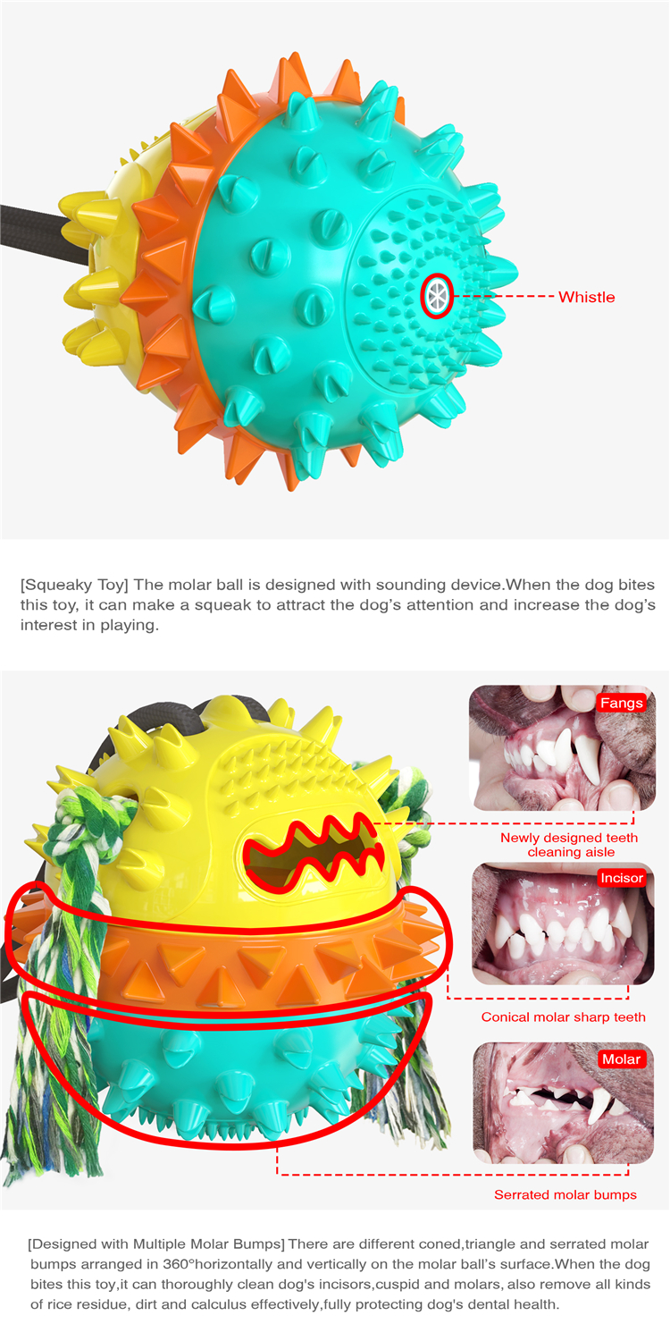 Hot Sale Molar Bite Resistant Double Suction Cup Dog Chew Rope Ball Pull Toy