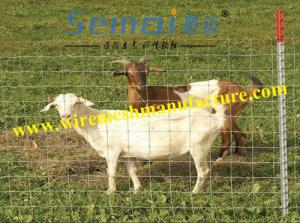 Quality Cattle Fence wholesale