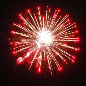Quality Chinese 4 Inch 16 Shots Consumer Cake Fireworks From 1.4G Liuyang Professional Fireworks Supplier Custom Fire Works wholesale