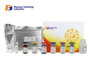 Quality Sandwich Porcine ELISA Kit Syndecan - 1 Customized With 2 Hours Assay Time wholesale