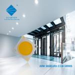 High CRI White light LED COB 25-80W 35-38V 1919 2828 Outdoor Indoor Lighting LED