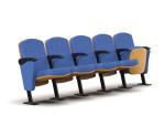 Polyester Fabric Wood Lecture Hall Chairs Solid Theater Seat