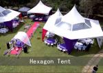 Waterproof PVC Transparent 12m Hexagon Pagoda Party Tent