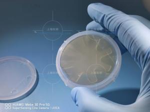 Quality Dummy Research 2 Inch 6H-Semi Silicon Carbide Wafer wholesale