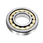 NJ200 Series Axial Cylindrical Roller Bearing NJ212 NJ216 NJ218