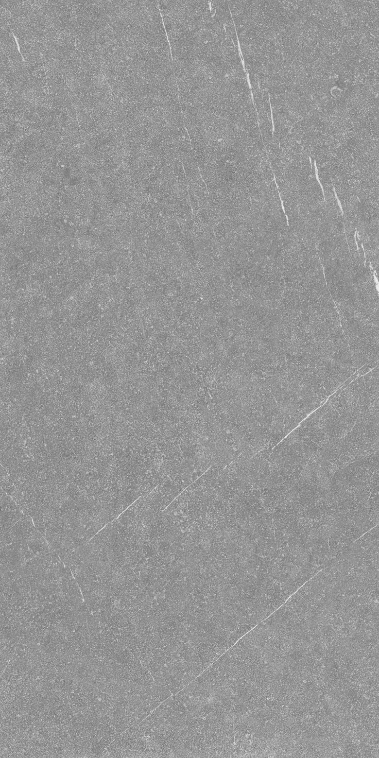 Dark Tile Floor Trending Large Format Cement Grey Concrete Look Matte Finish Porcelain Tile 60*120cm