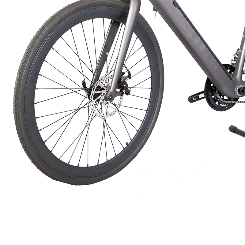 Customized Electric Bicycle DOMANCA Fast Speed E Bike with Range per Power of 31-60 km
