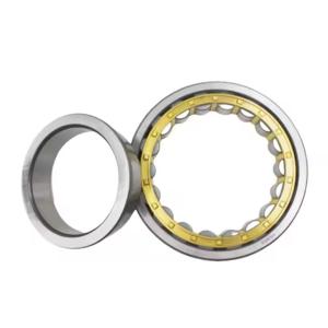 Quality NU222-E-TVP2 - Cylindrical Roller Bearing - 110x200x38mm wholesale