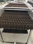 Vegetable Carrot Potato Ginger Brush Roller Washer Machine for Washing and