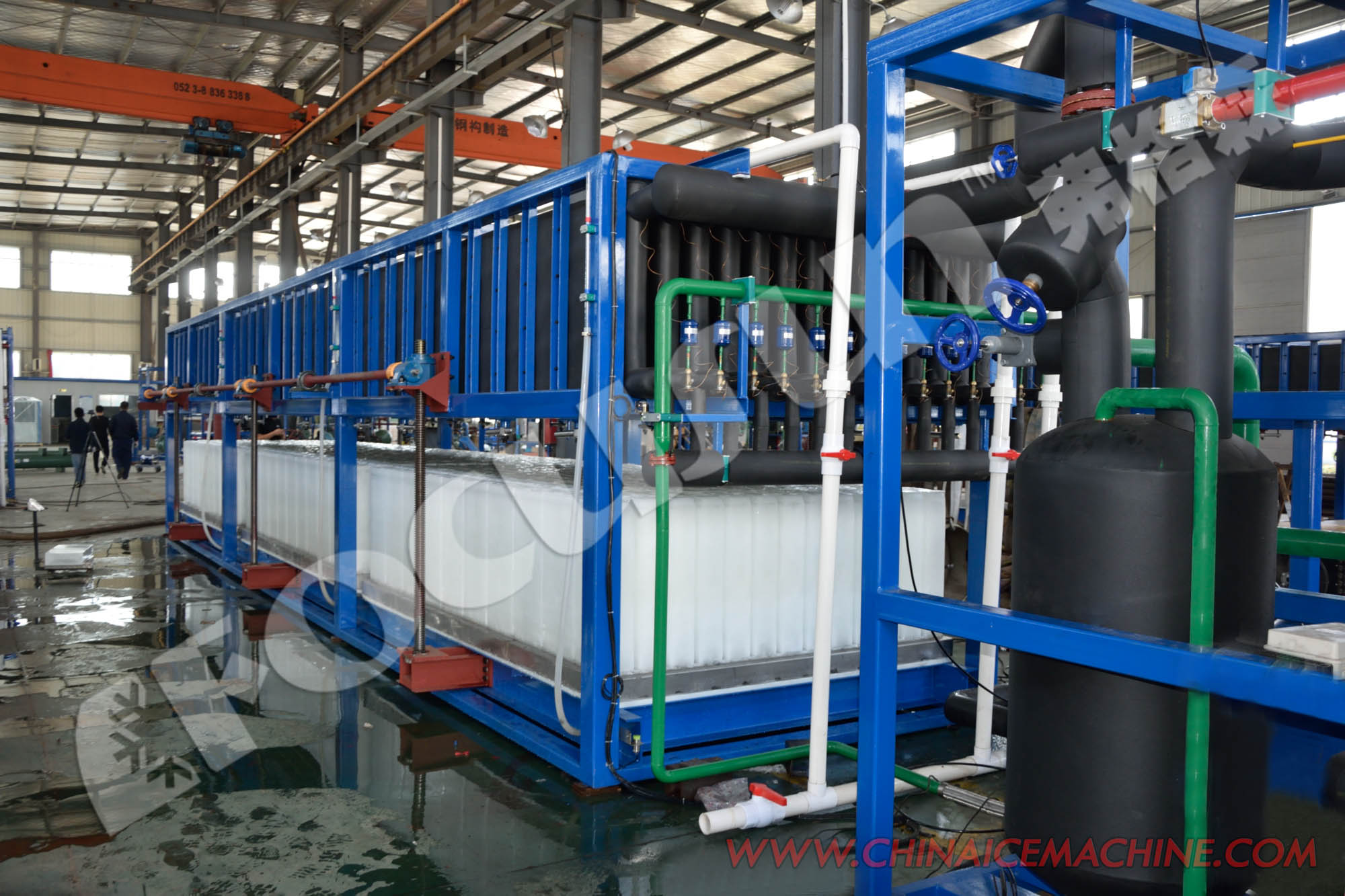30 Tonnes Daily Capacity Ice Block Machine Bitzer Compressor and Automatic Operation