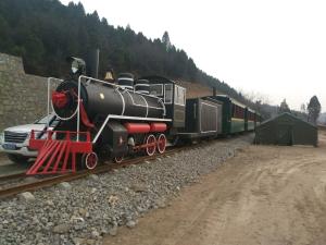 Quality Excursion Tourist Train Rides Steam Train Rides For Kids 1 Year Warranty wholesale