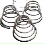 Support spring check valve