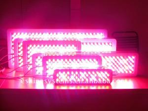 Quality 3g 11 bands full spectrums led grow light wholesale
